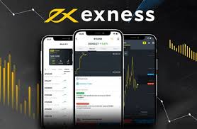 Explore the Benefits of Trading with Exness India