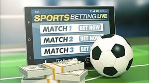 Exploring the Excitement of Tucheze Bet A Guide to Online Betting