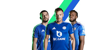 The Thrill of Gambling Exploring BC Game